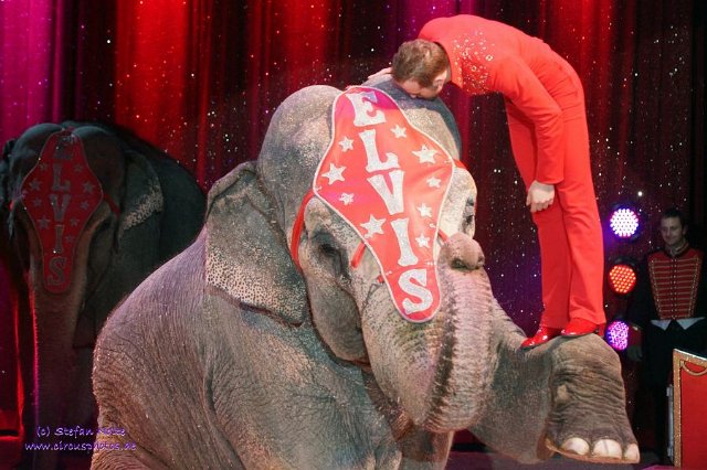 0082Heilbronner Weihnachtscircus2012(c)Stefan Nolte-www.circusphotos.de resized resized
